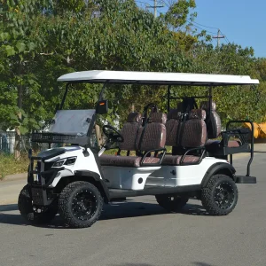 Wholesale Wholesale 6 Seat Electric Golf Carts from China Suppliers - Customized 72V Lithium Golf Buggy Factory Direct Supplier, Suppliers