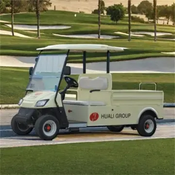 Leibin G30 48V cargo electric utility off-road truck golf cart