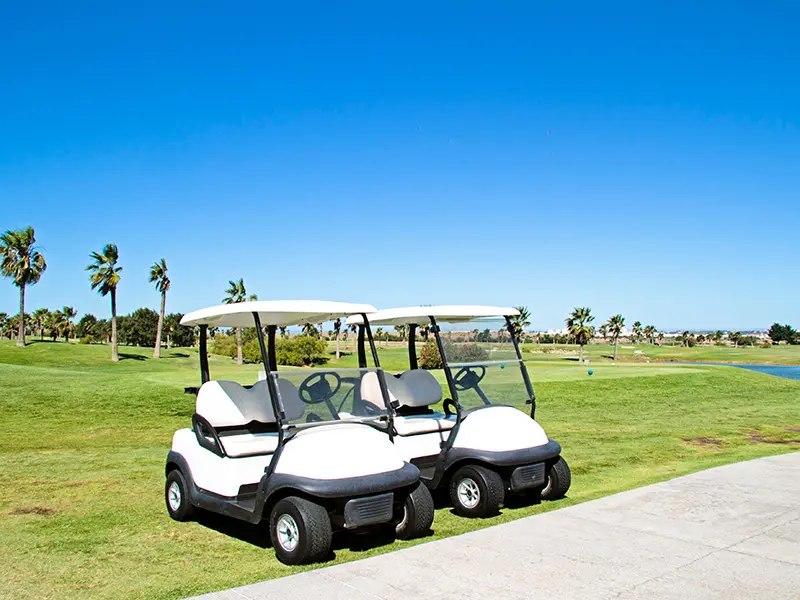 Diversified application scenarios driving golf cart market growth