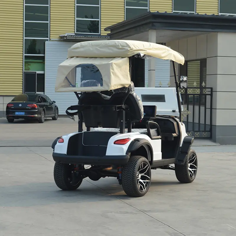 OEM Affordable 2 Seater Mini Sightseeing Car Golf Cart Electric Cars Manufacturer, Suppliers