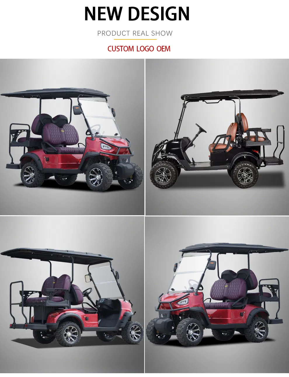 Affordable-2-Seater-Mini-Sightseeing-Car-Golf-Cart-Electric-Cars 2