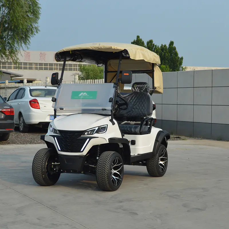 Wholesale China Factory Suppliers of 2-Seater Electric Sightseeing Cars, Golf Carts, and Versatile G70 Electric Vehicle Supplier, Suppliers