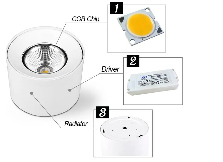 LED Downlight Dimensions