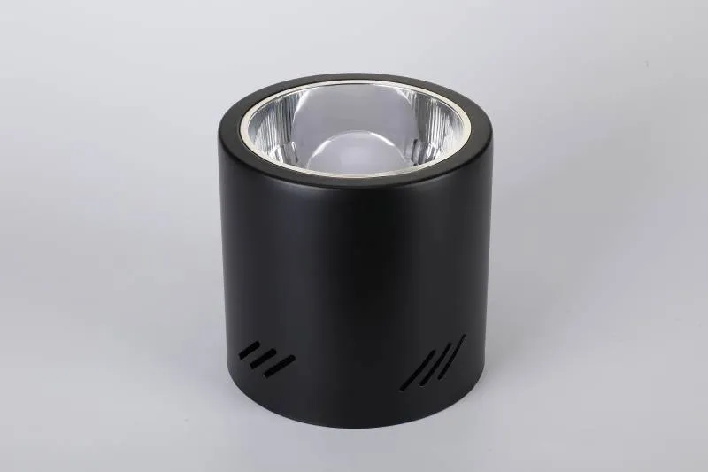 LED Downlight Detail 3