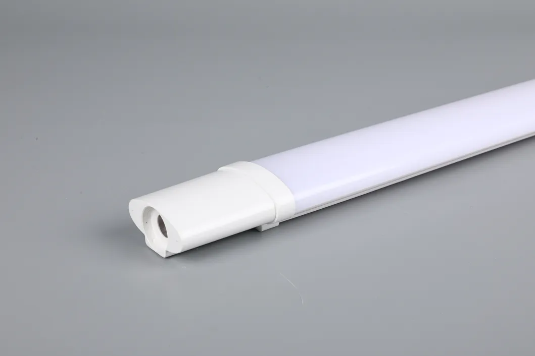 Batten light model 6