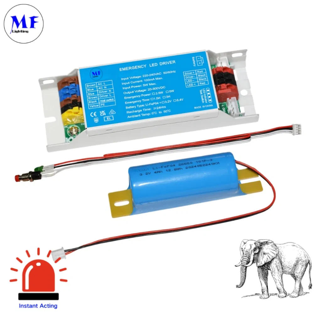 16years Manufacture 3years Warranty 220-240V Emergency Power 3W Time 3hours Li-FEP04 Battery IP20 LED Emergency Kit Powerpack Ballast Backup Driver