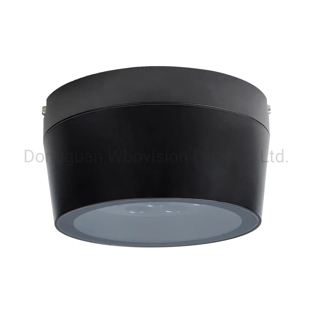 Outdoor LED Downlight 3