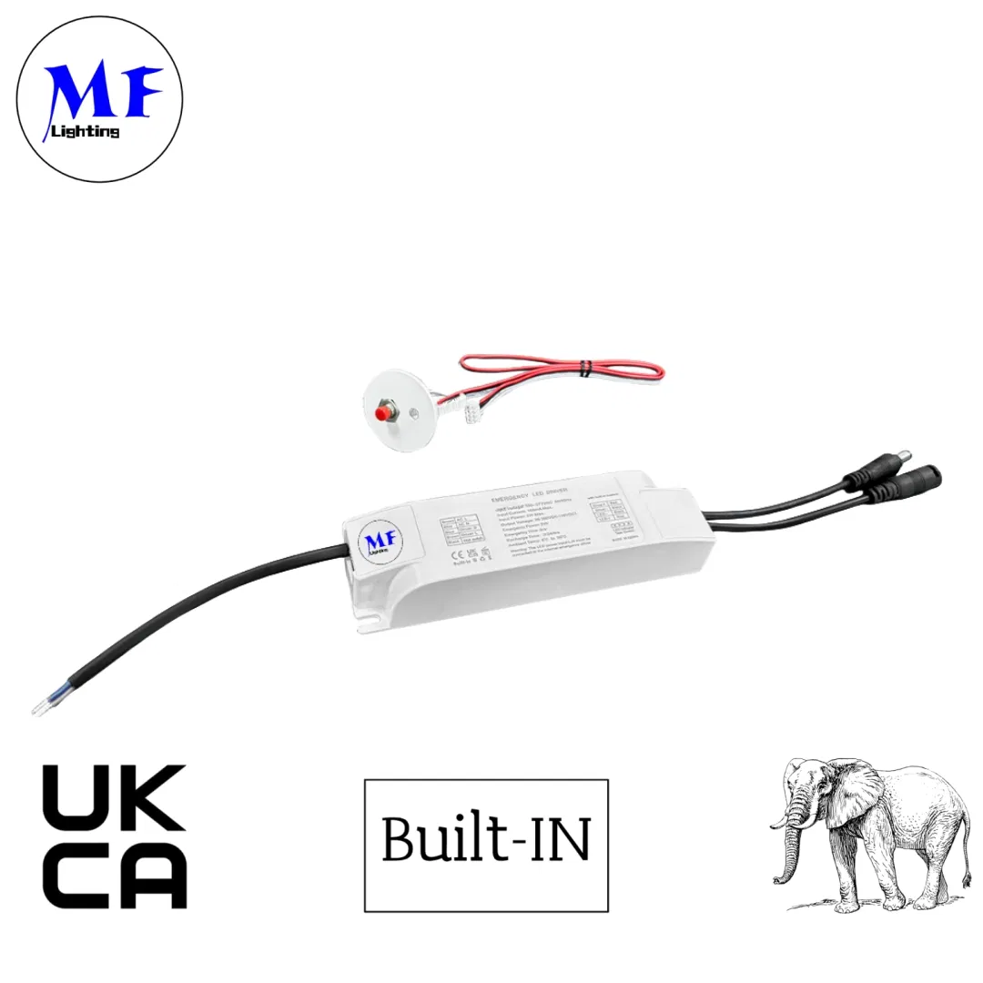 Factory Price Emergency Inverter LED Emergency Light Kit Emergency Driver for Triproof Light Down Light Ceiling Light Highbay Light Panel Light