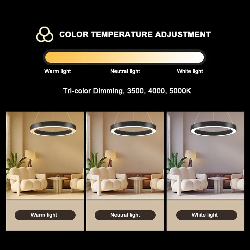 LED Pendant Light Round Suspended Linear Light