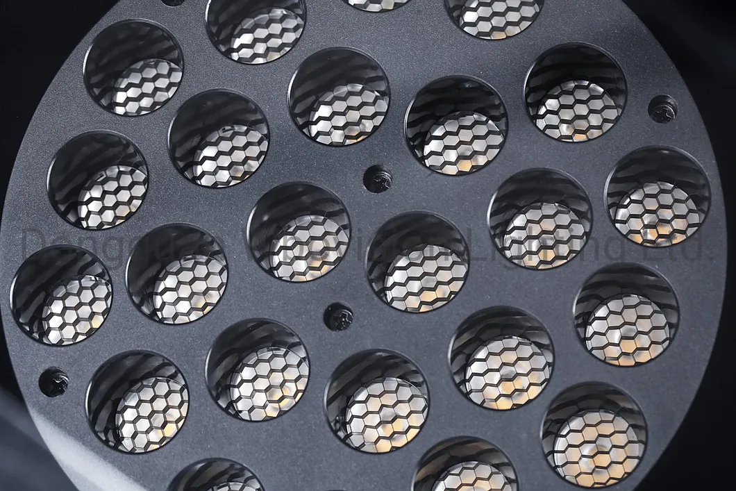 Outdoor LED Downlight 2