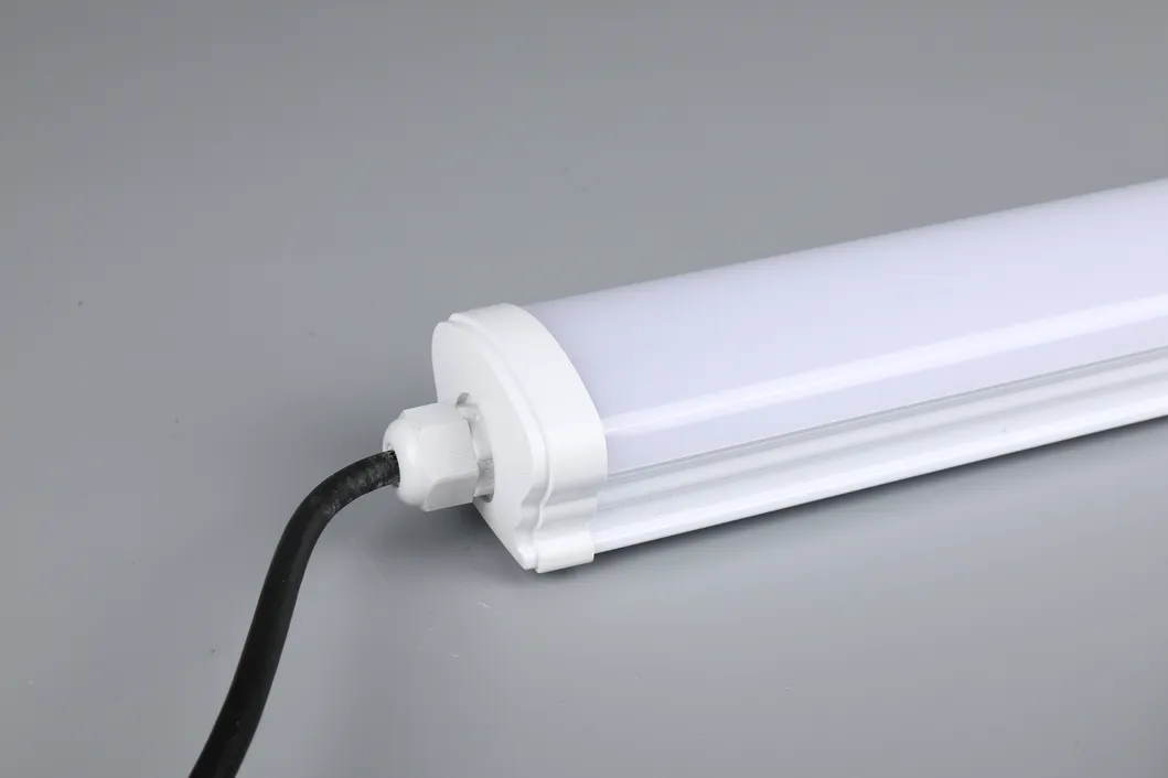 Batten light model 1