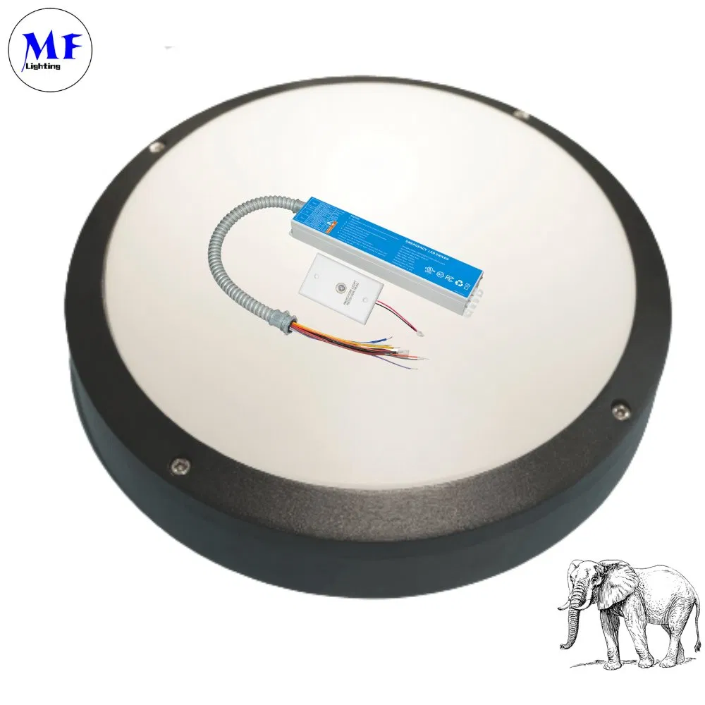 Factory Price IP40 40W Emergency Light Kit Panic Light Ballast UL Listed LED Emergency Driver for Triproof Light Down Light Ceiling Light Highbay Light