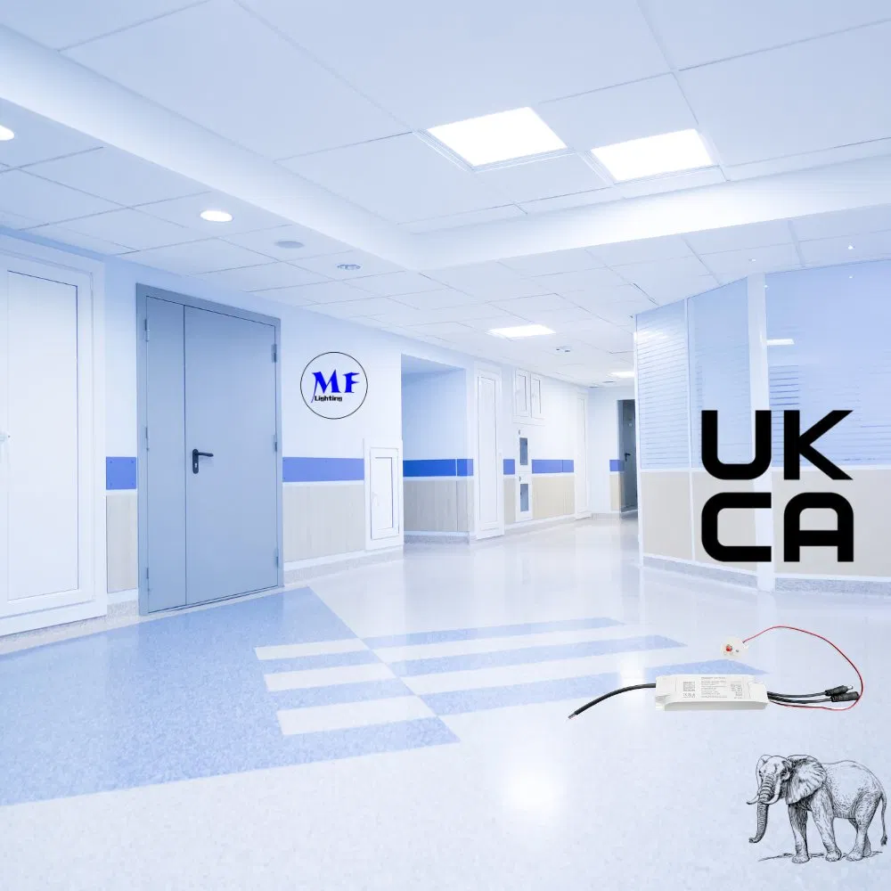 Factory Price Emergency Inverter LED Emergency Light Kit Emergency Driver for Triproof Light Down Light Ceiling Light Highbay Light Panel Light