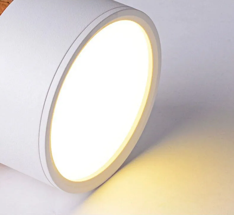 LED Downlight Application 2