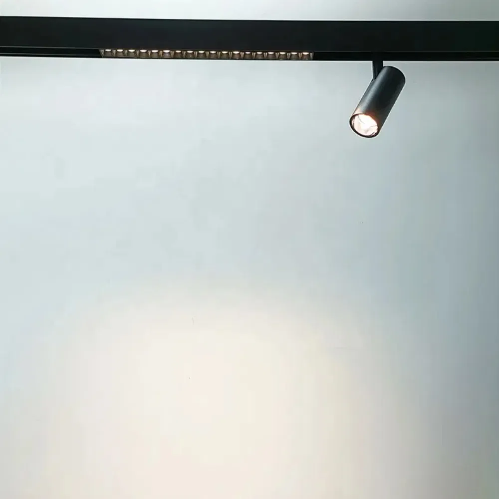 48V Dali Smart Track Light Dimmable Tunable Magnetic Track Light with Aluminum Body and COB LED Chip Modern Design