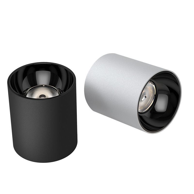 Outdoor Surface Mounted Ceiling Light Round IP65 Waterproof Luminaires LED Downlight