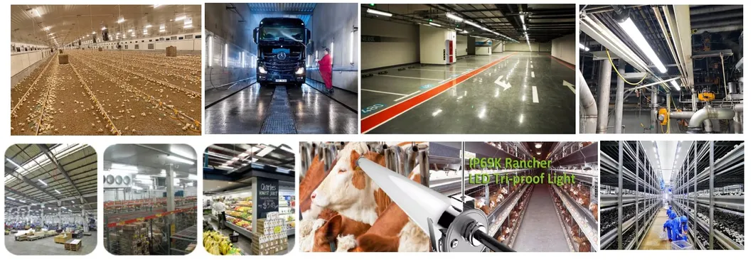 LED Triproof Applications