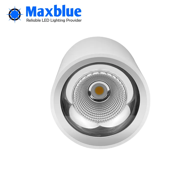 LED Downlight View 4