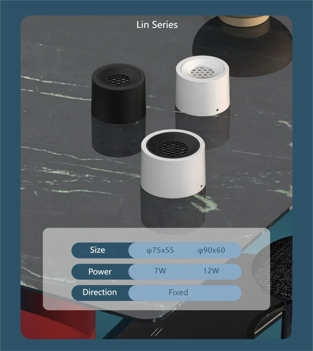 LED Downlight View 4