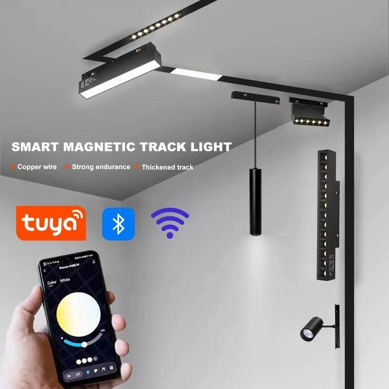 New Designer Tendencia Modern Recessed Indoor Lighting 12W 25W 30W 45W Home Commercial Linear 48V Magnetic LED Track Light
