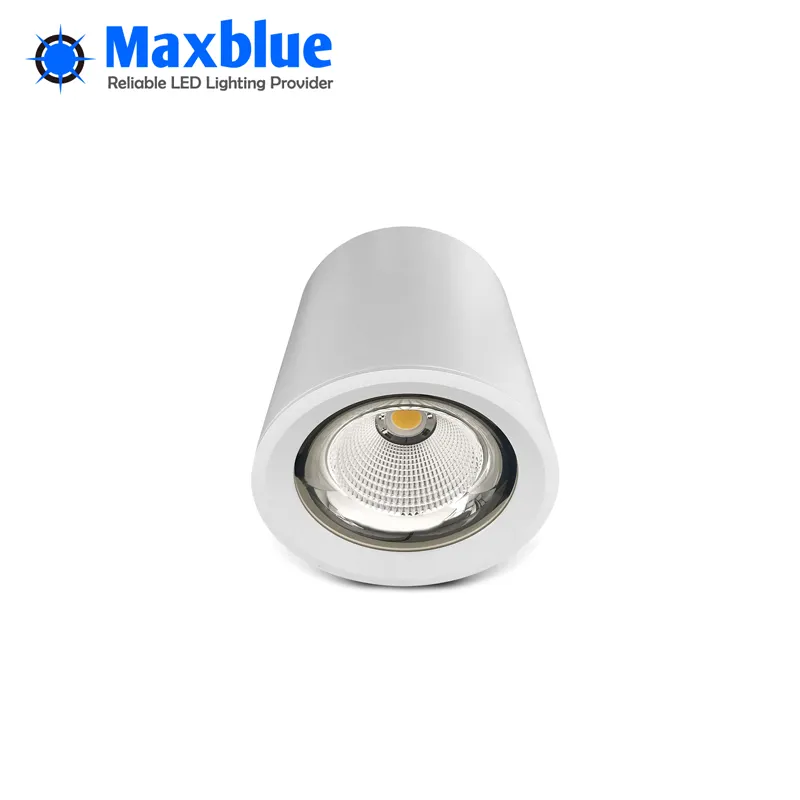 LED Downlight View 1