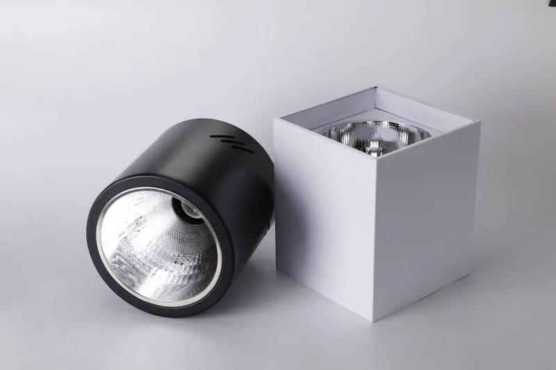 LED Downlight Detail 1