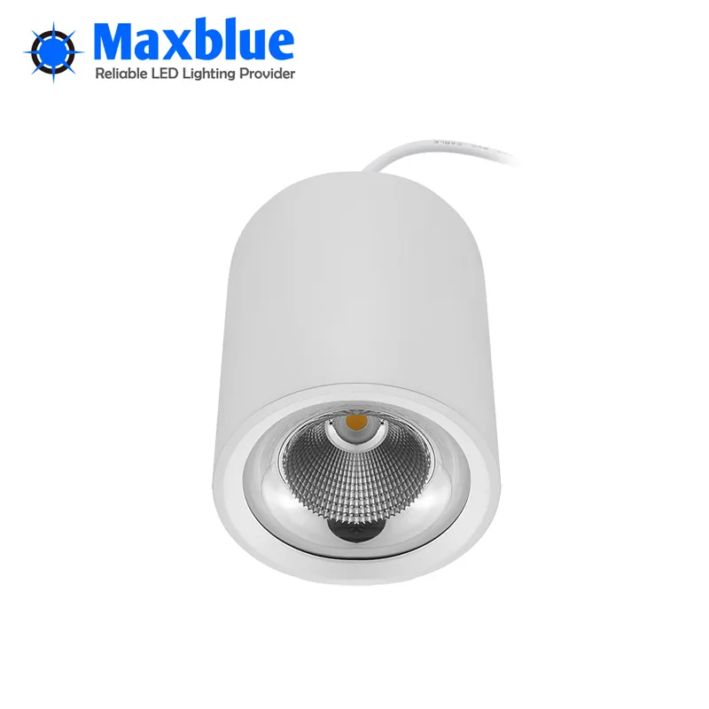 LED Downlight View 2