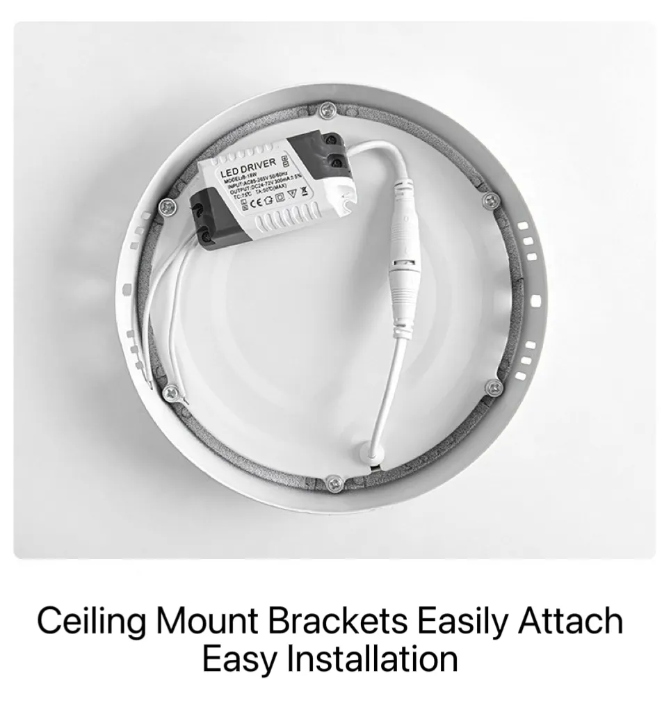 LED Downlight Detail