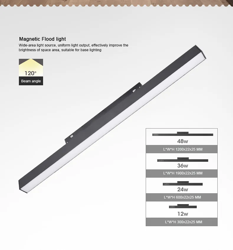 Magnetic Track Light View 14