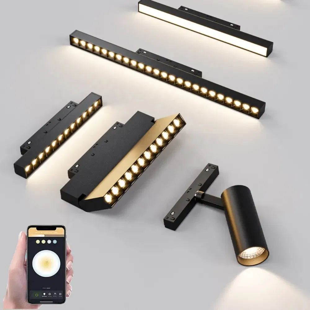 48V Dali Smart Track Light Dimmable Tunable Magnetic Track Light with Aluminum Body and COB LED Chip Modern Design