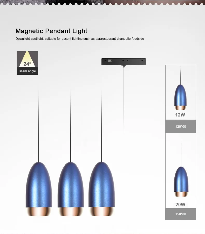 Magnetic Track Light View 22