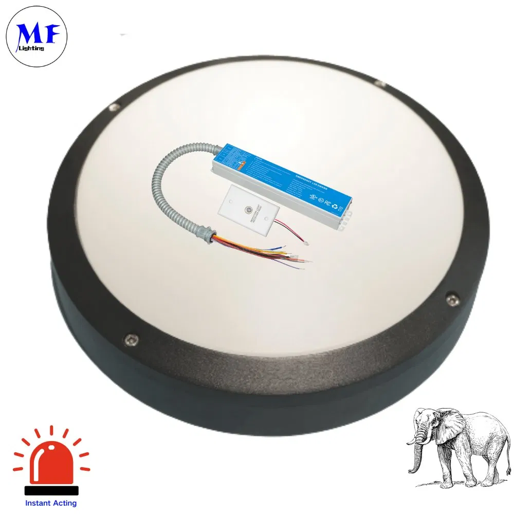 Factory Price UL Listed 0-10V Dimmable LED Emergency Panic Driver with 90 Minute Discharge Time 5 Year Warranty for Wall Light Panel Light Pendant Light