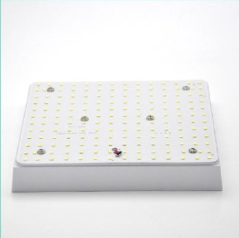 Frameless LED Panel Light Surface Mounted 18W 24W 36W Plastic Round LED Panel Down Light