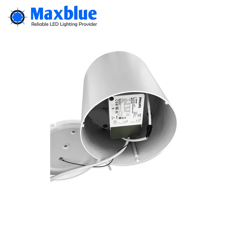LED Downlight View 8