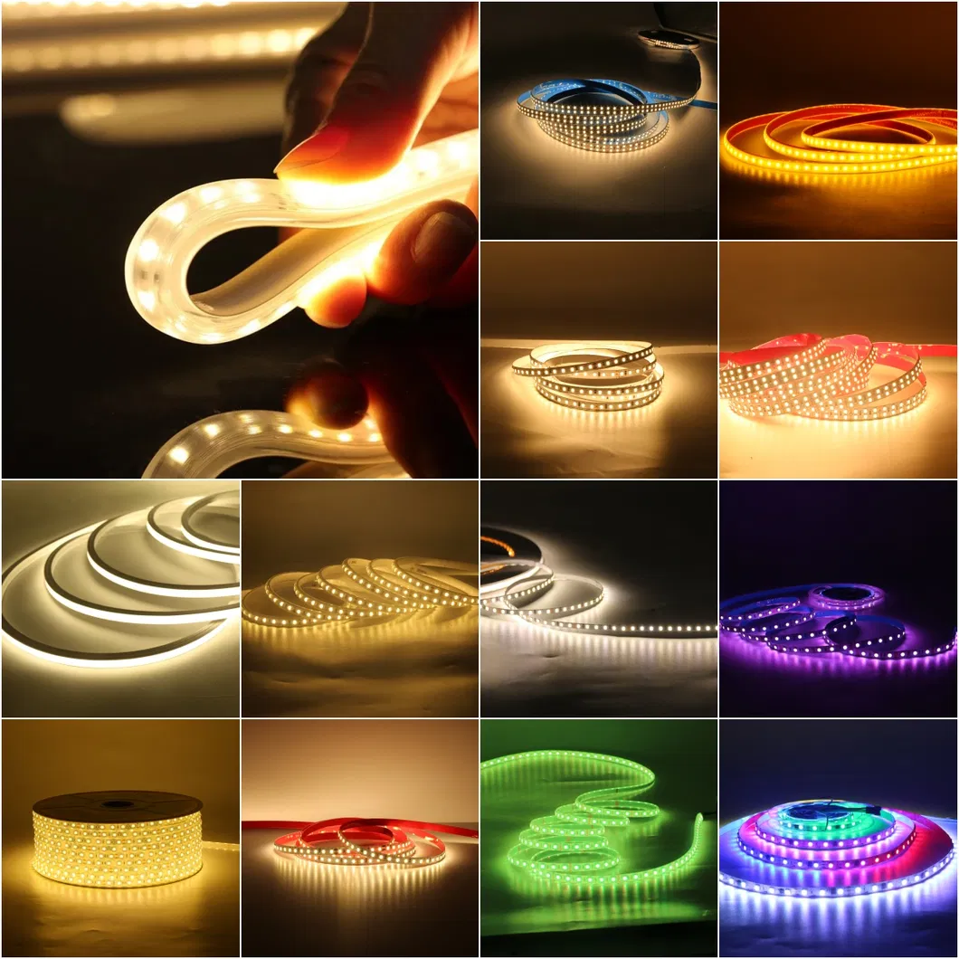 LED Strip Product