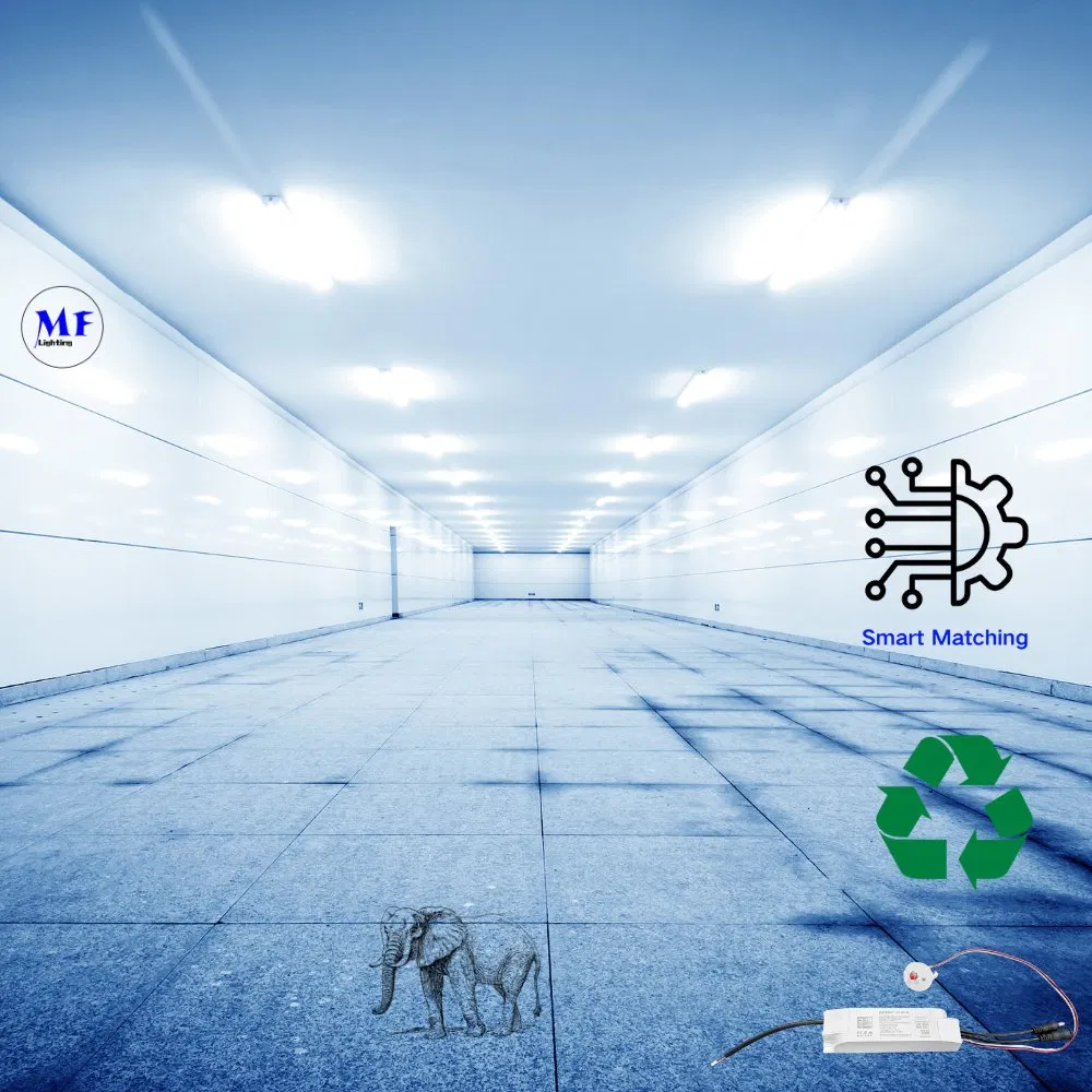 Factory Price Emergency Inverter LED Emergency Light Kit Emergency Driver for Triproof Light Down Light Ceiling Light Highbay Light Panel Light