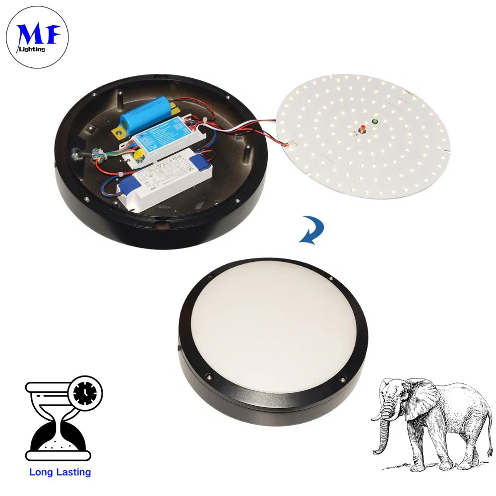 16years Manufacture 3years Warranty 220-240V Emergency Power 3W Time 3hours Li-FEP04 Battery IP20 LED Emergency Kit Powerpack Ballast Backup Driver