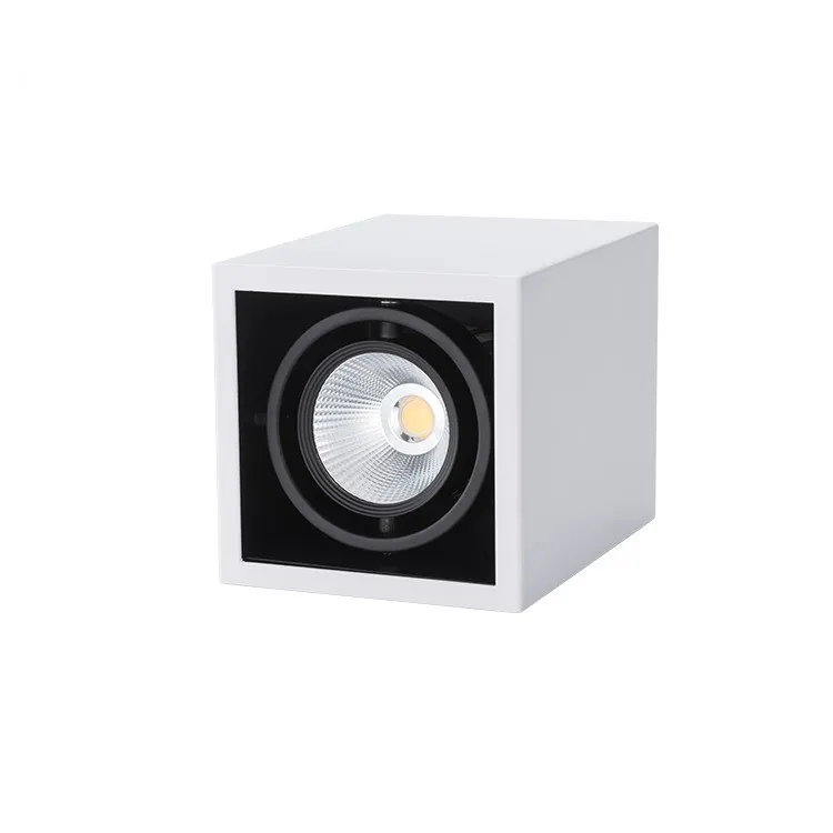 LED Downlight Detail 2