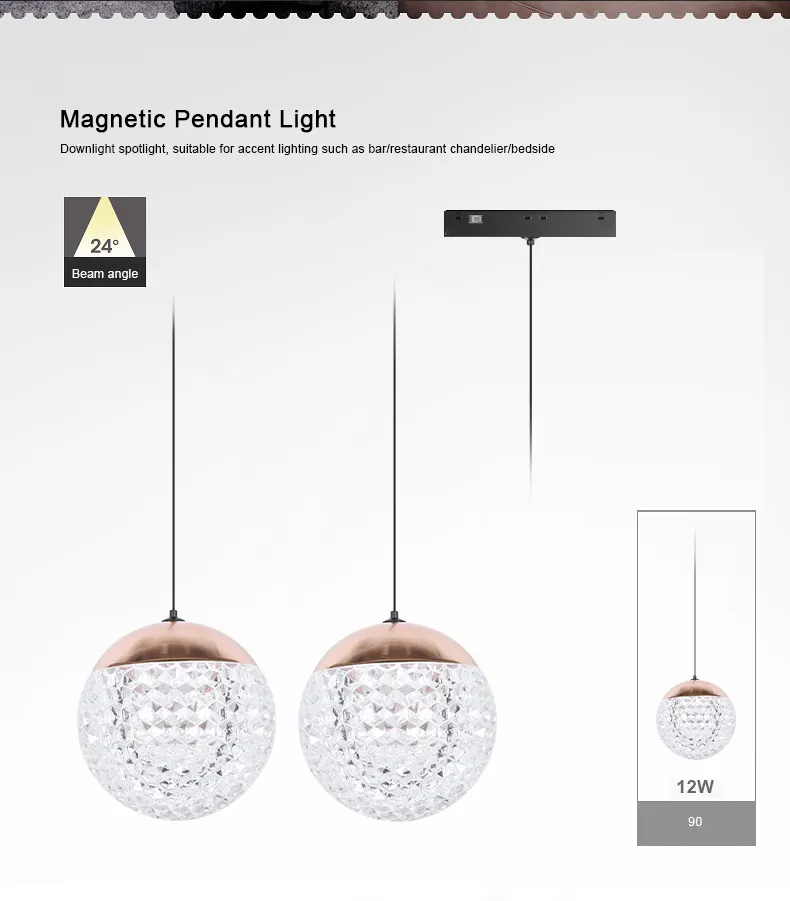 Magnetic Track Light View 24