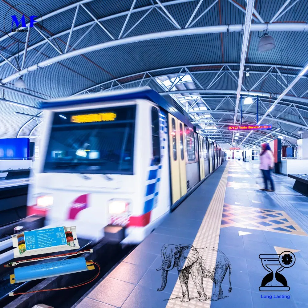 16years Manufacture 3years Warranty 220-240V Emergency Power 3W Time 3hours Li-FEP04 Battery IP20 LED Emergency Kit Powerpack Ballast Backup Driver