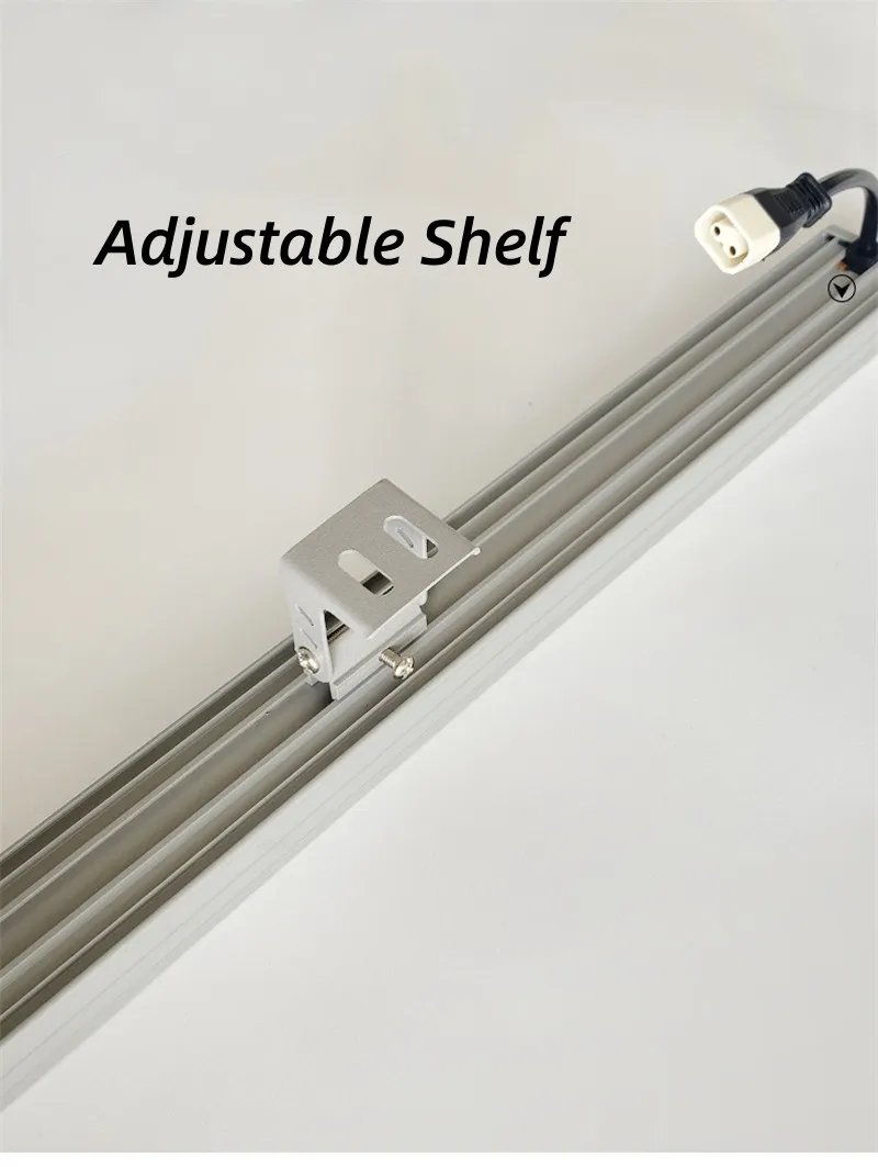 Outdoor Lighting Detail