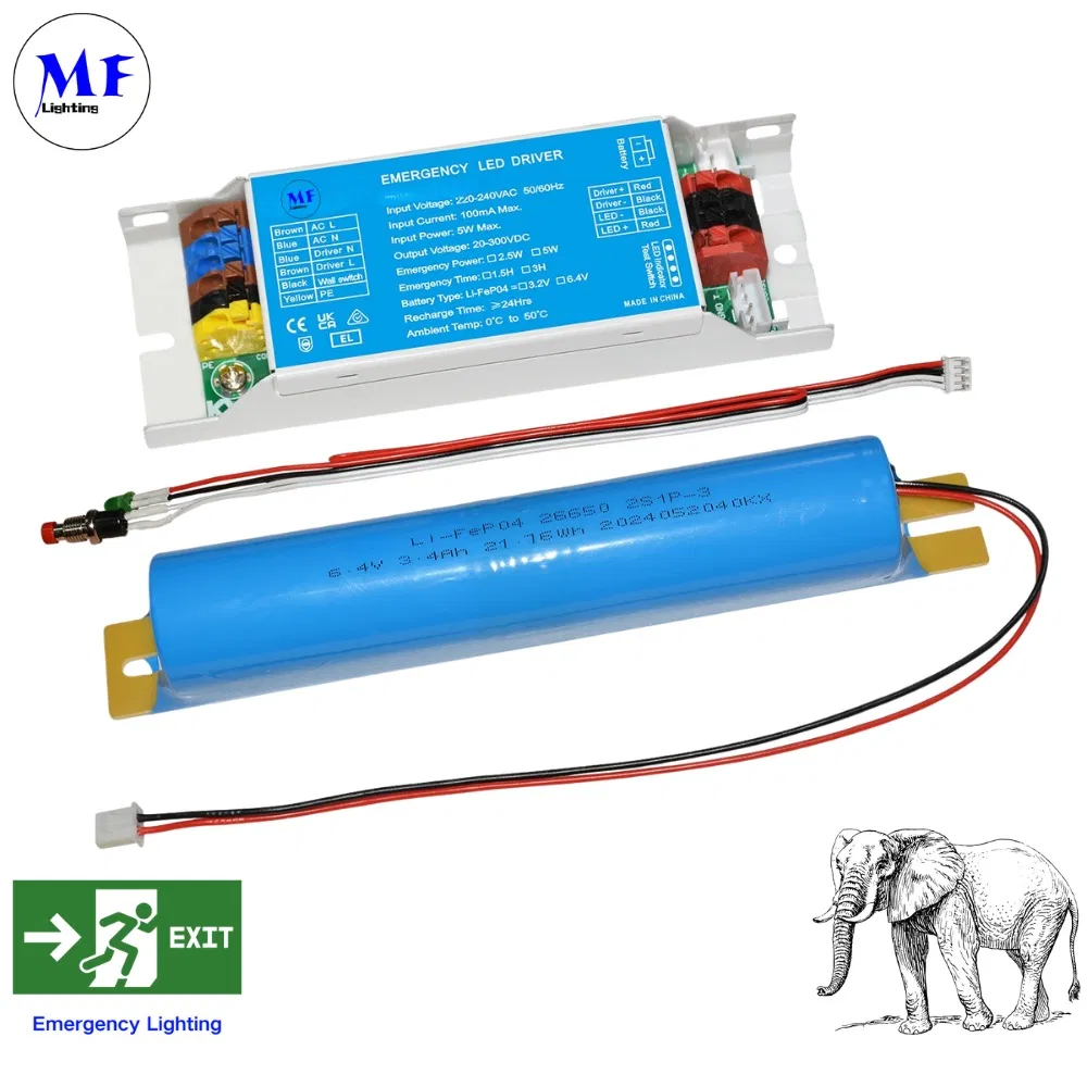 16years Manufacture 3years Warranty 220-240V Emergency Power 3W Time 3hours Li-FEP04 Battery IP20 LED Emergency Kit Powerpack Ballast Backup Driver