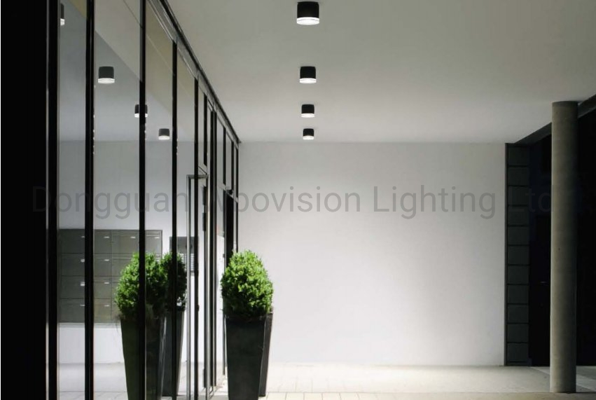Cylinder 20W Outdoor LED Ceiling Surface Mounted Downlight with IP65