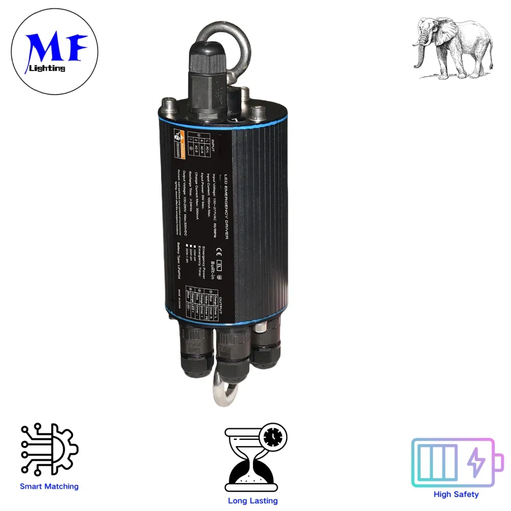 Factory Price IP65 Ballast Power Supply Kit Emergency Light Driver LED Emergency Converter with 3 Years Warranty 3 Hours Discharge Time Li-FEP04