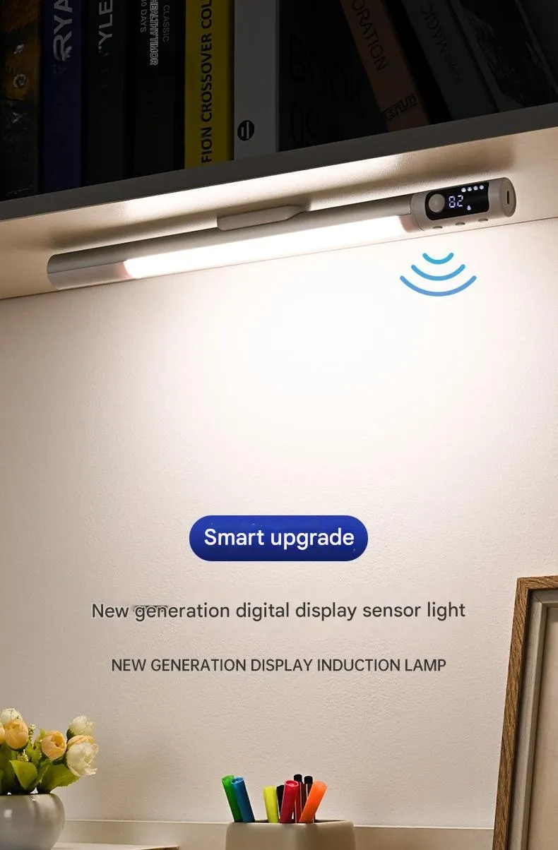 Motion Sensor Light 1