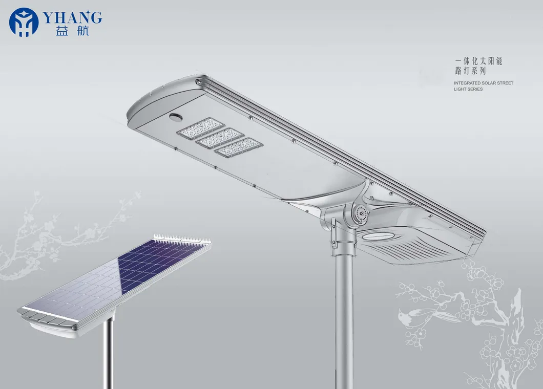 Solar Street Light 1