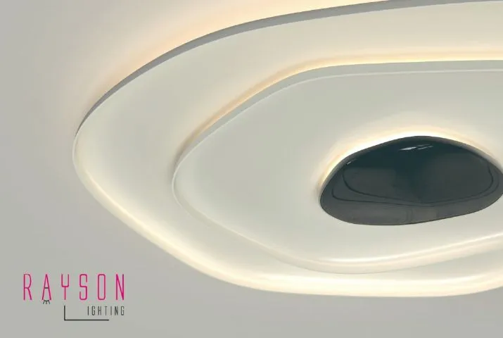 Modern LED Ceiling Light 4