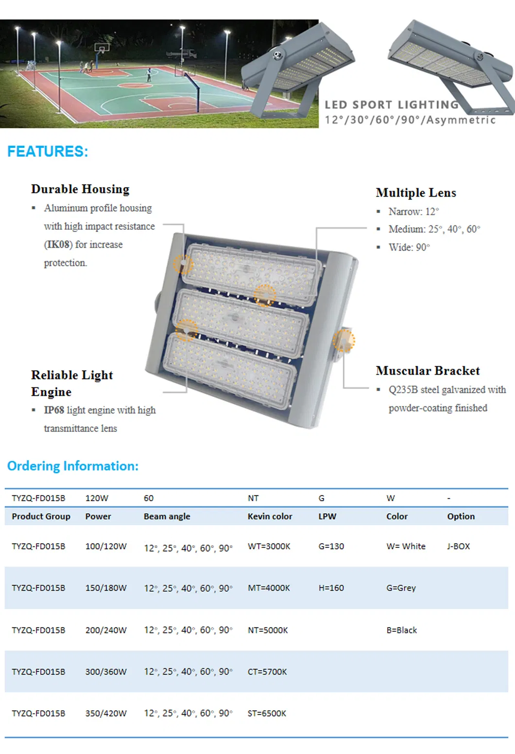 LED Flood Light 3