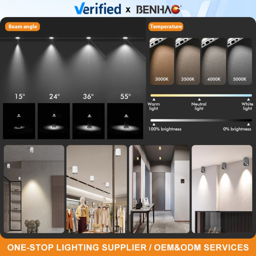 Waterproof Solar Powered LED Spot Light for Garden and Pathway