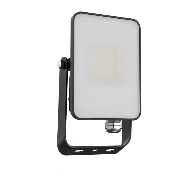 10W LED Flood Light
